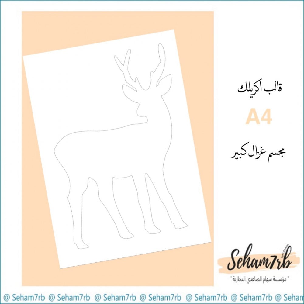E094 - صورة 1