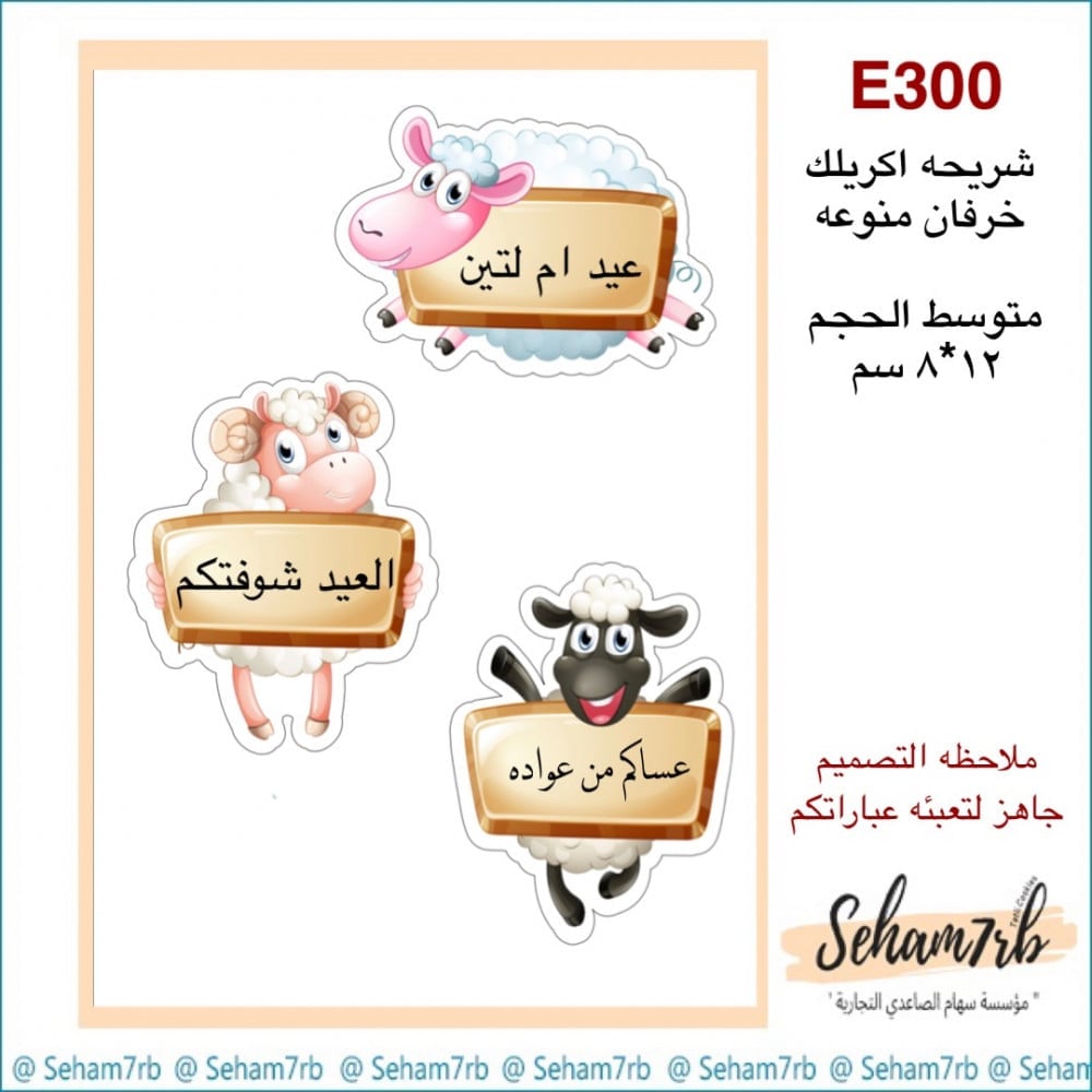 E300 - صورة 1