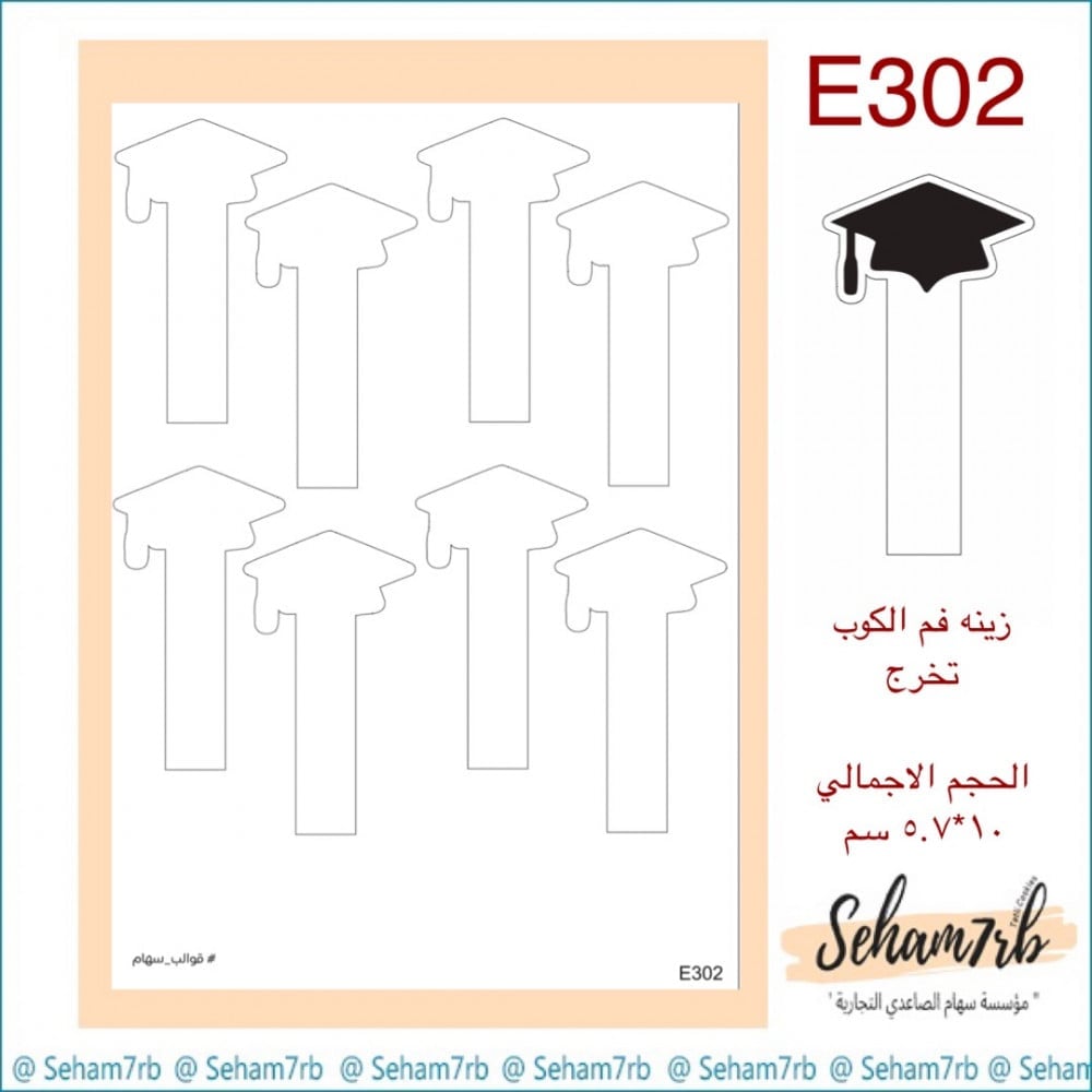 E302 - صورة 1