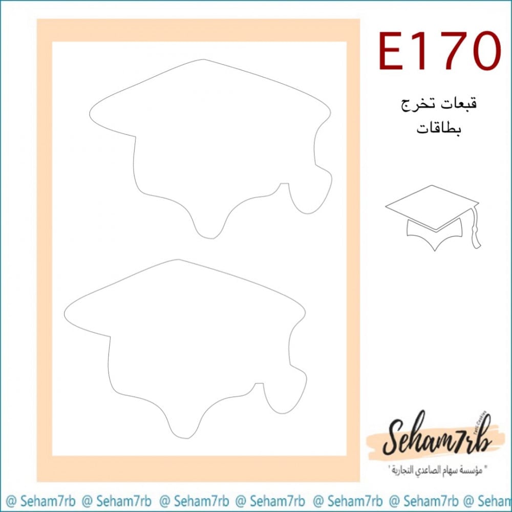 E170 - صورة 1