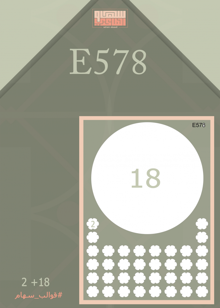 E578 - صورة 1