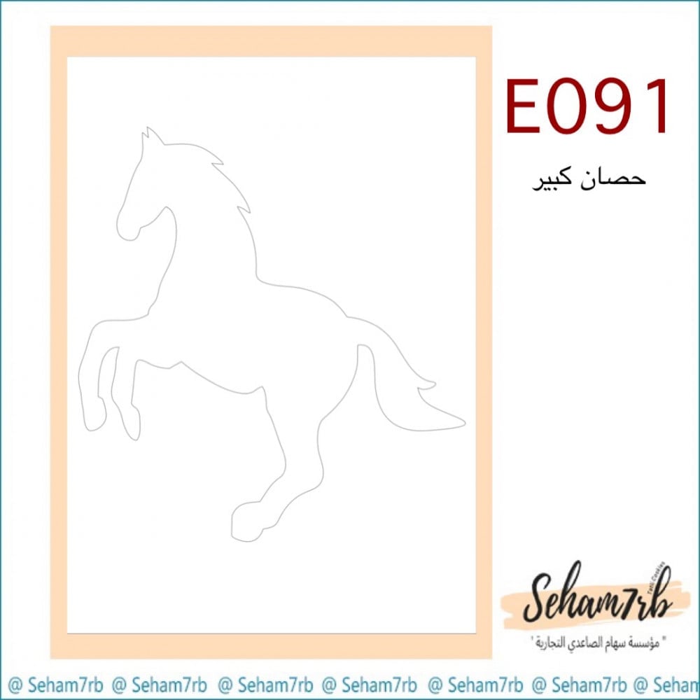 E091 - صورة 1