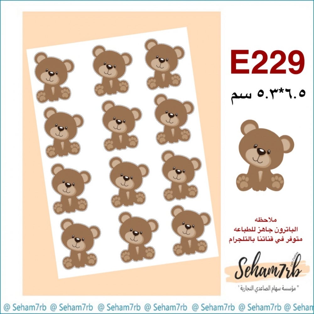 E229 - صورة 1