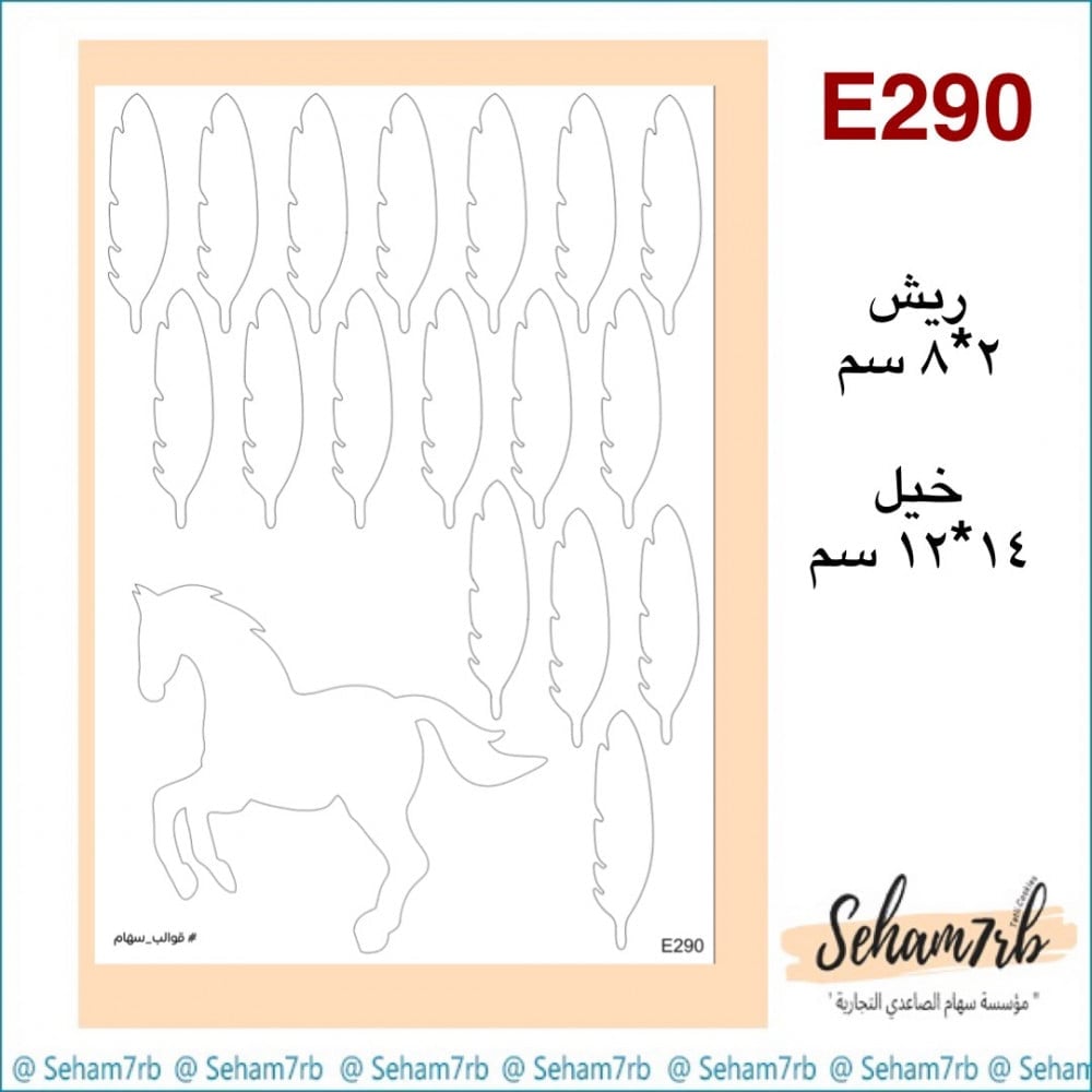 E290 - صورة 1