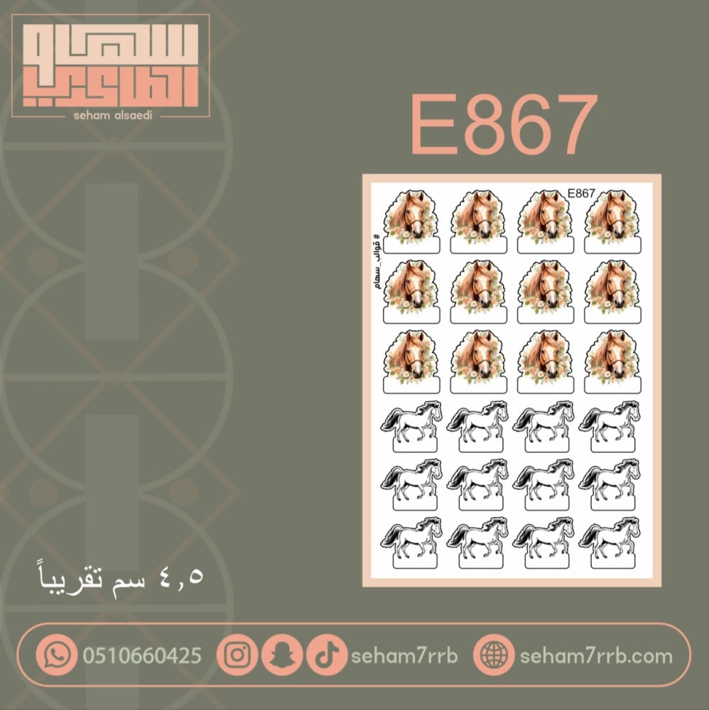E867 - صورة 1
