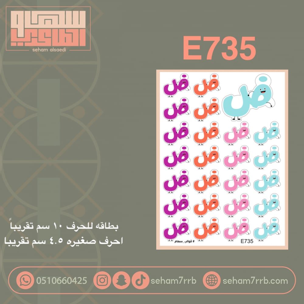 E735 - صورة 2
