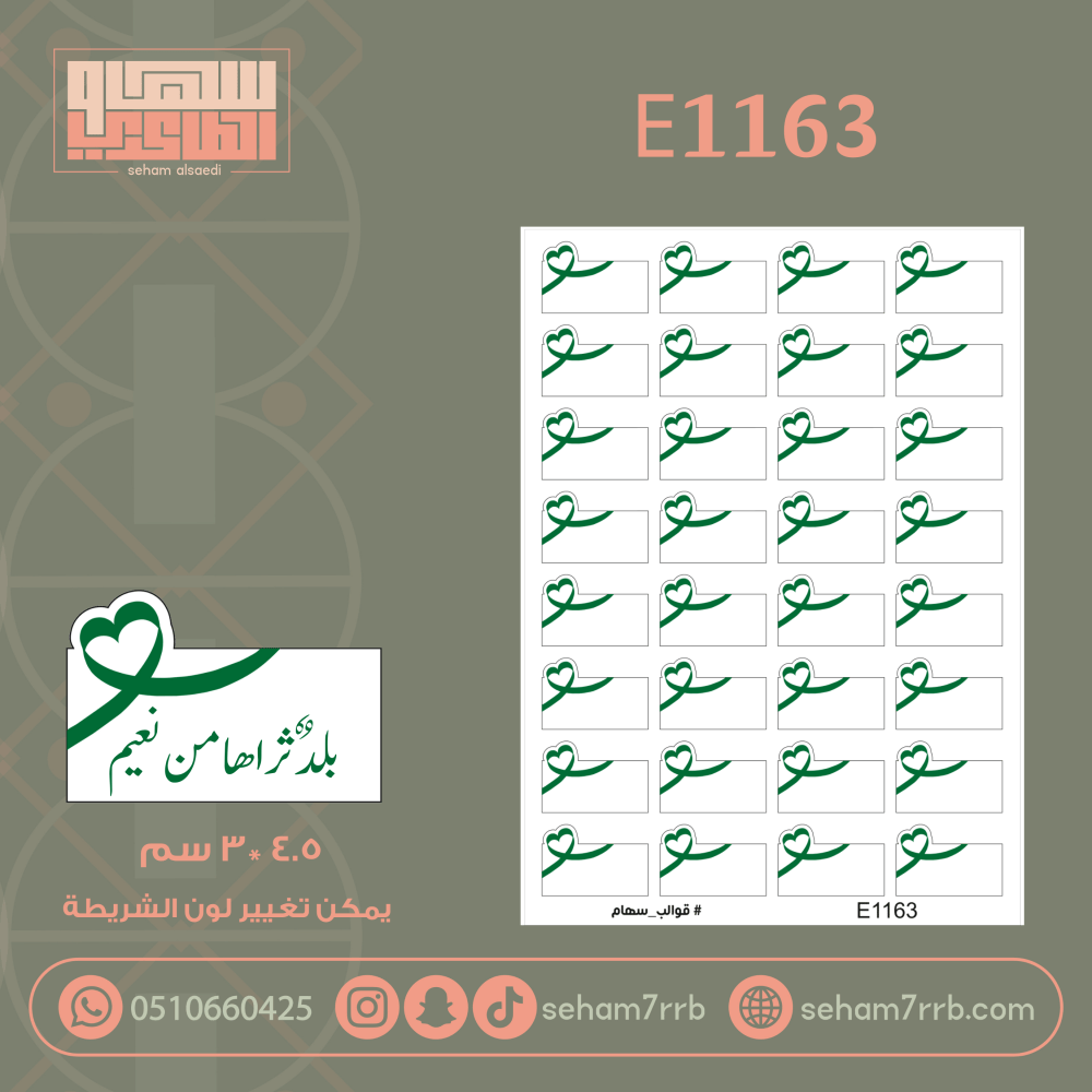 E1163 - صورة 1