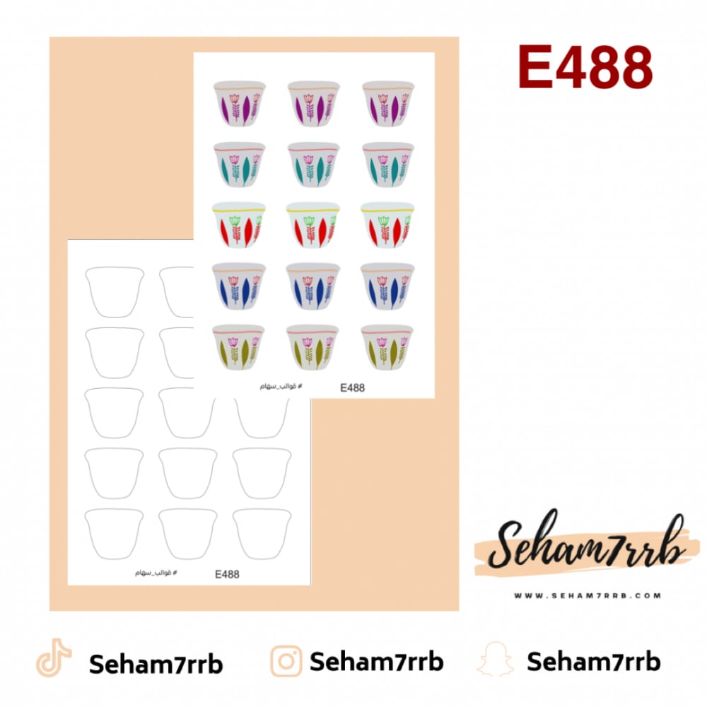 E488 - صورة 1