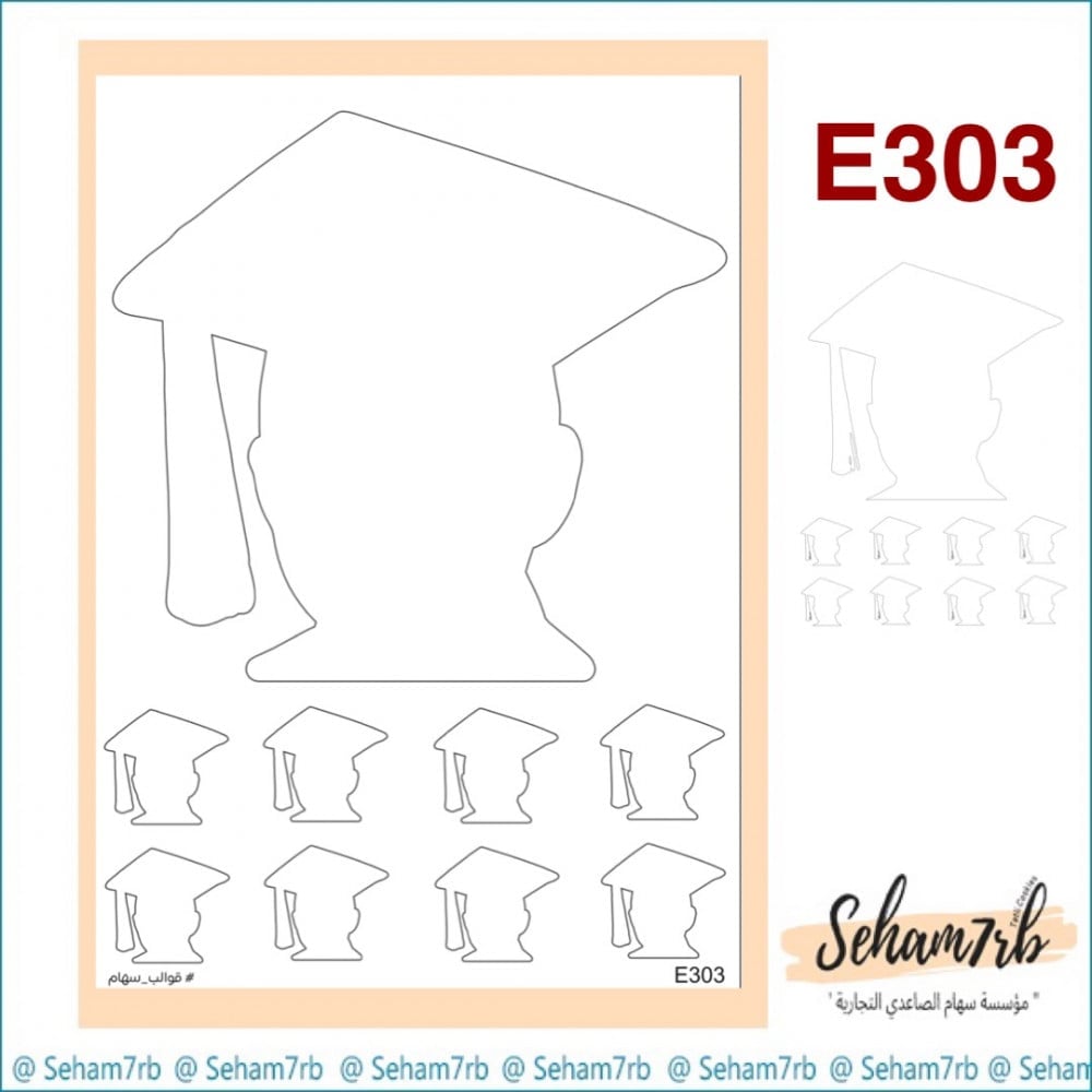 E303 - صورة 1