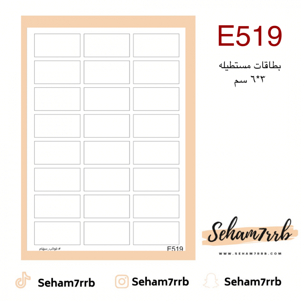 E519 - صورة 1