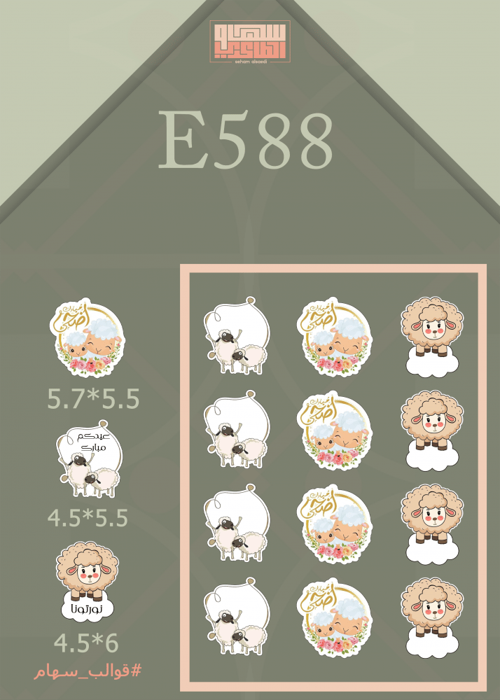 E588 - صورة 1