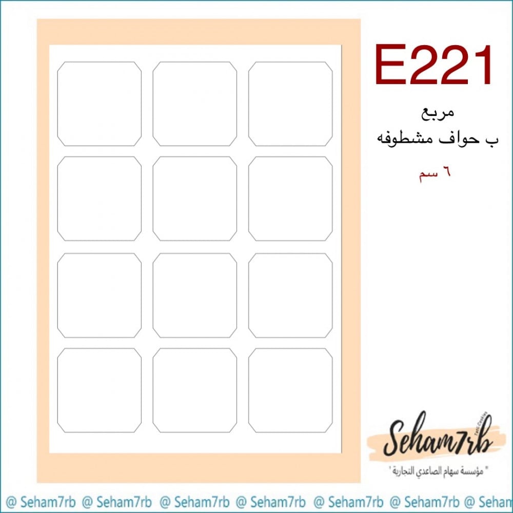 E221 - صورة 1