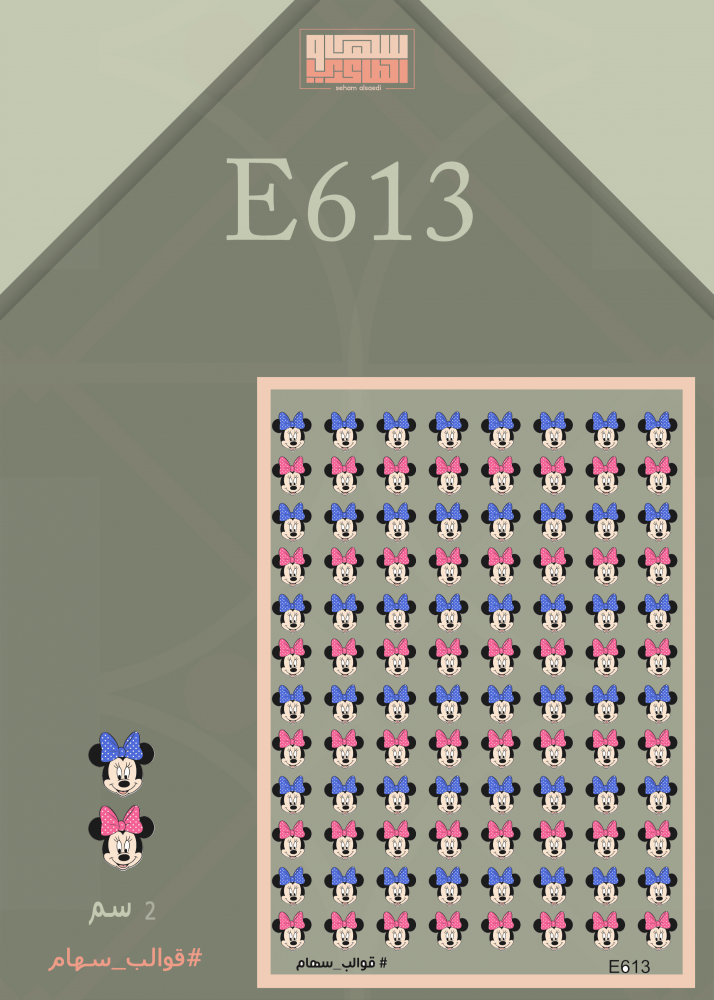 E613 - صورة 1