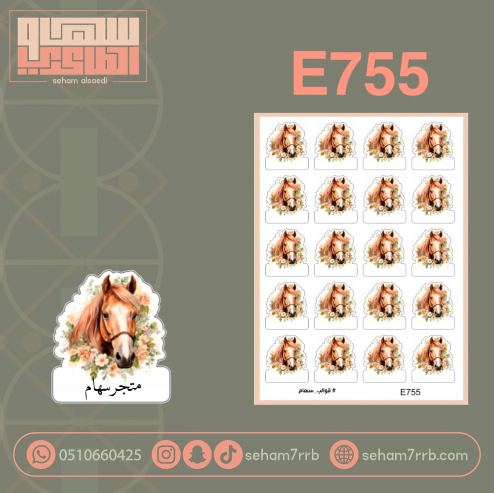 E755 - صورة 1