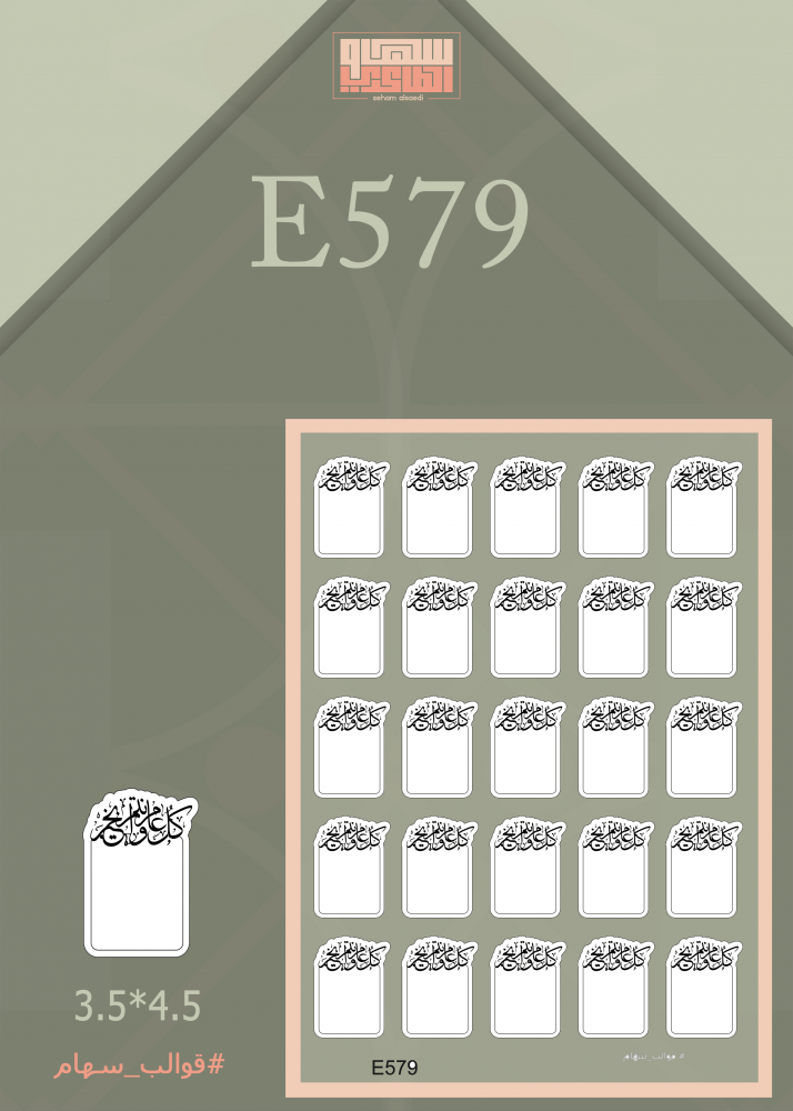 E579 - صورة 1