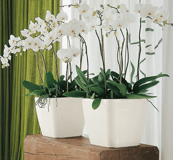 مركن زراعى ذاتى الرى-HG3113A - صورة 15