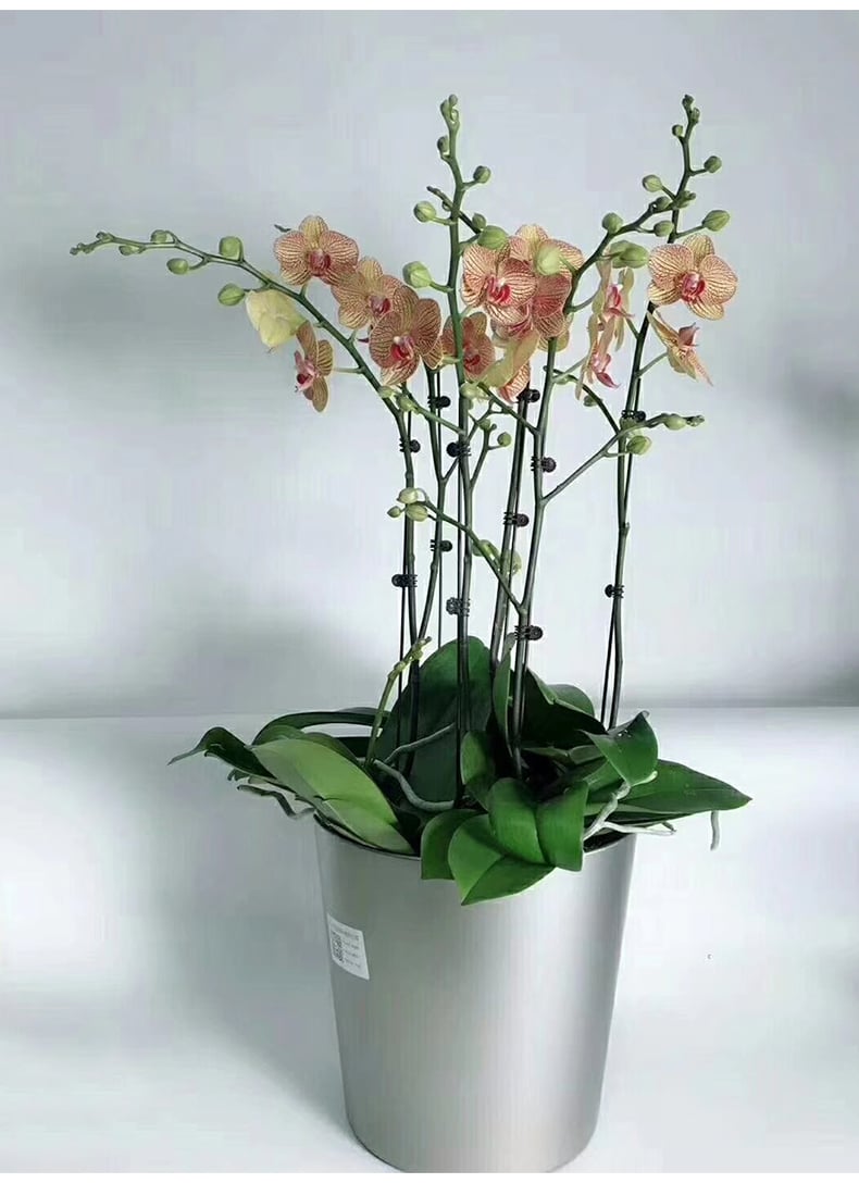 مركن زراعى ذاتى الري 4005  - صورة 10