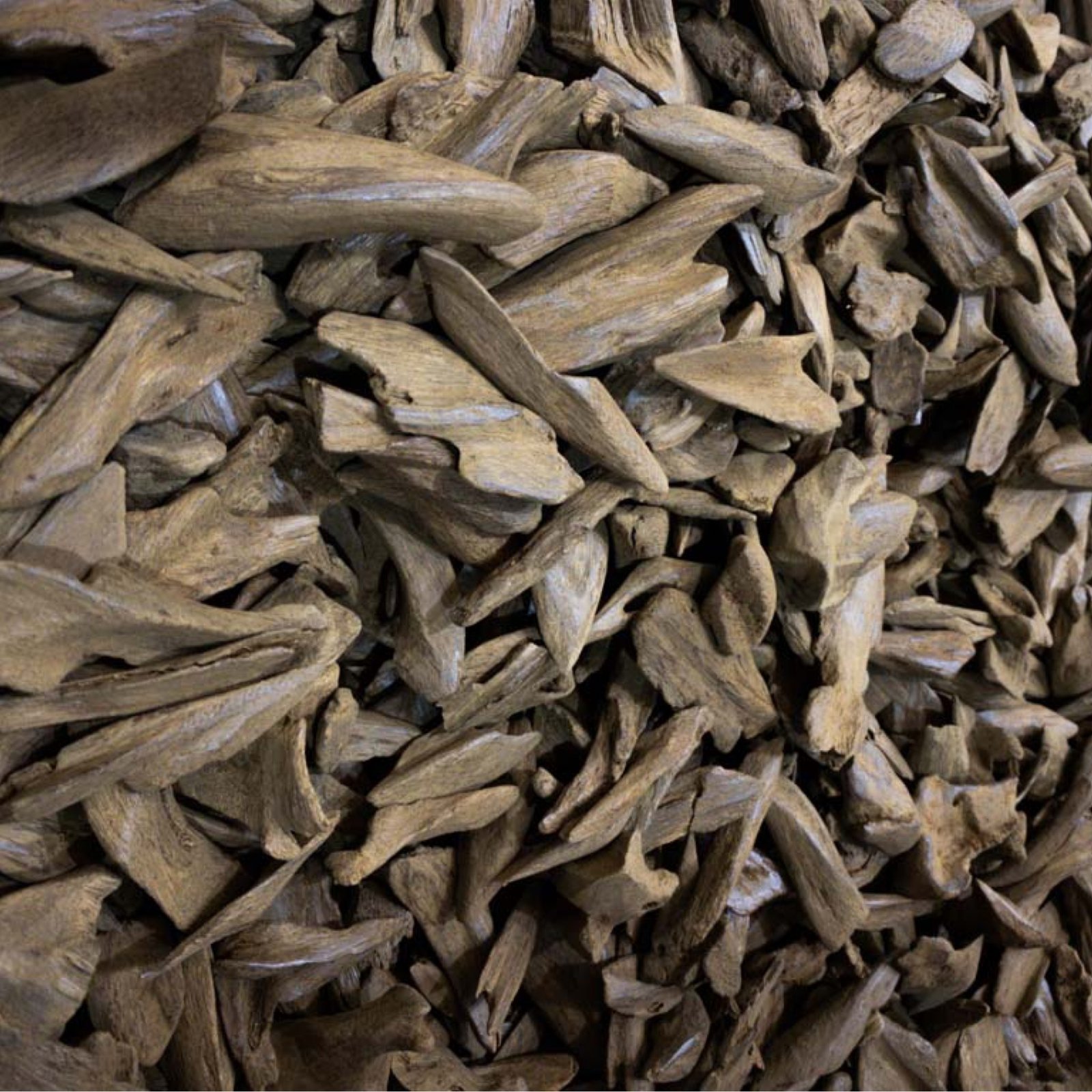 عود موروكي دبل سوبر  - صورة 1