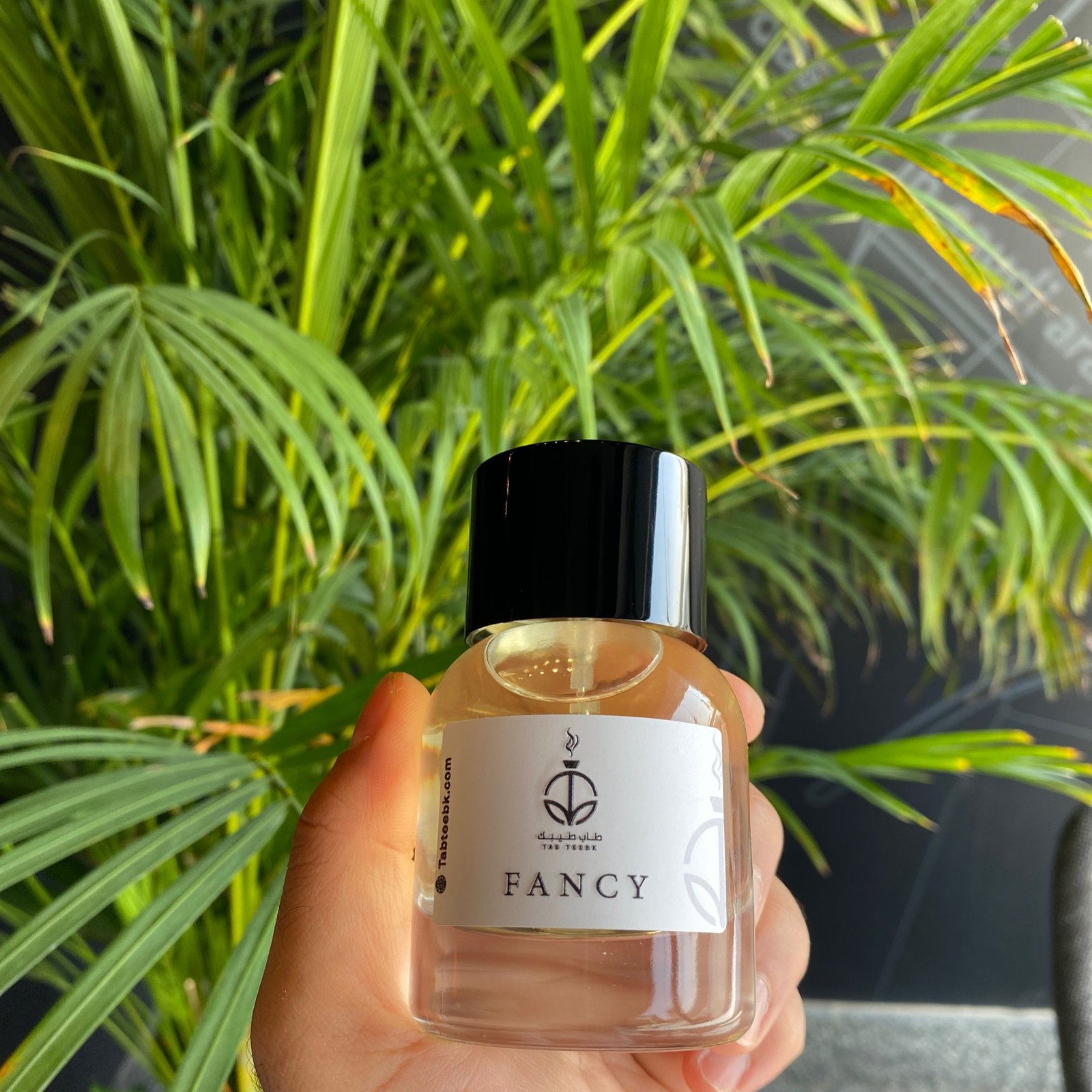 فانسي | FANCY - Image 2