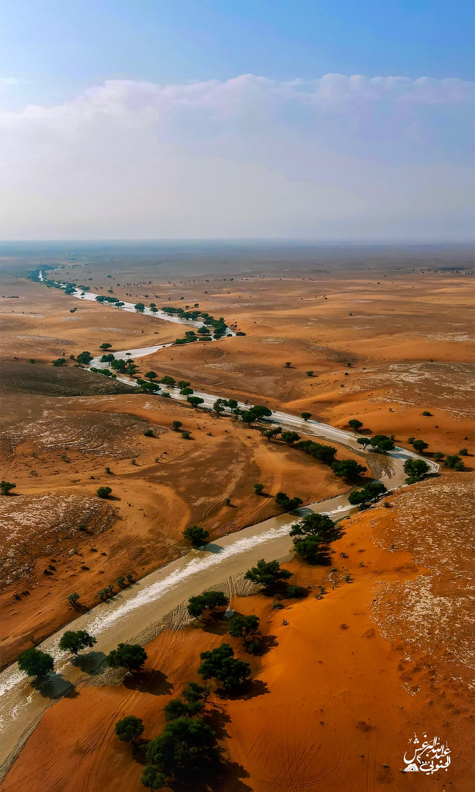 شعيب بقر بجراب - صورة 2