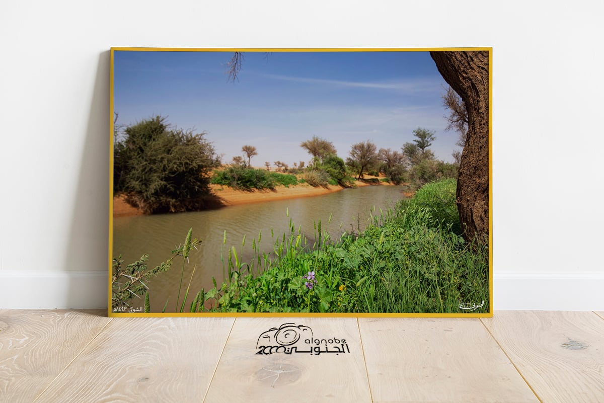 شعيب الشوكي - صورة 3