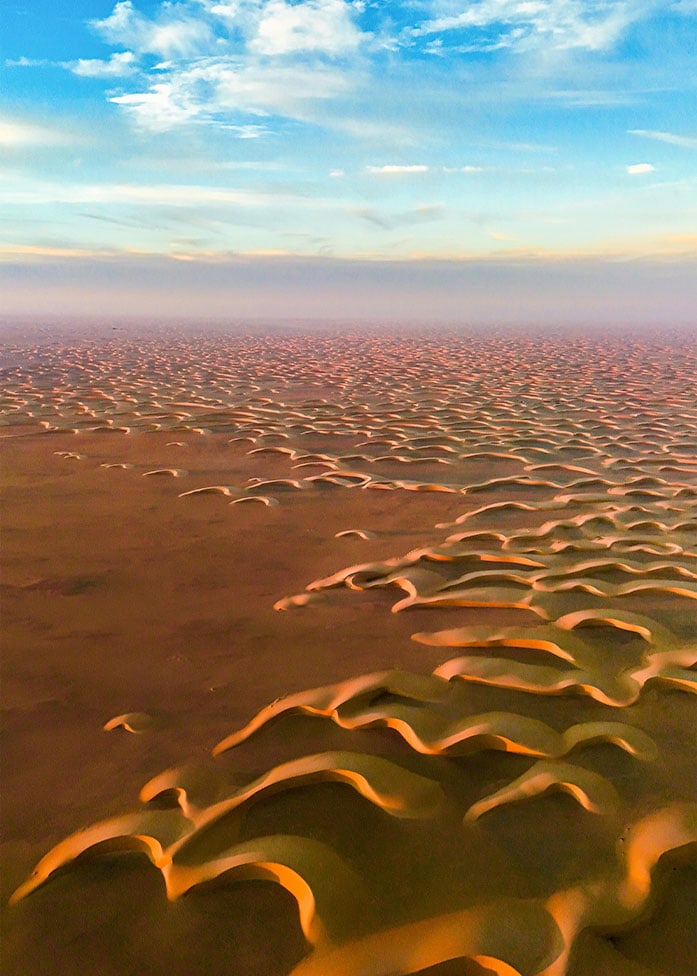 عروق الهلالية الربع الخالي  - صورة 3