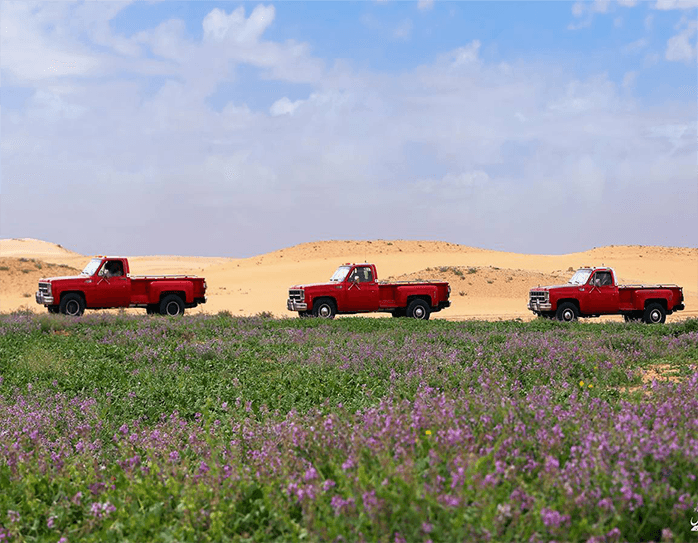 الجمس بالصمان - صورة 2