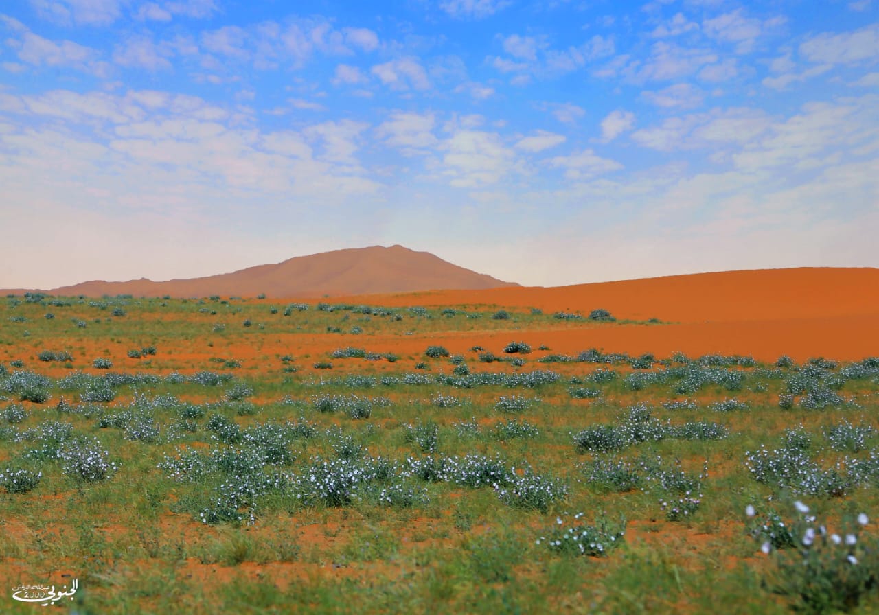 نقا التنهات - صورة 2