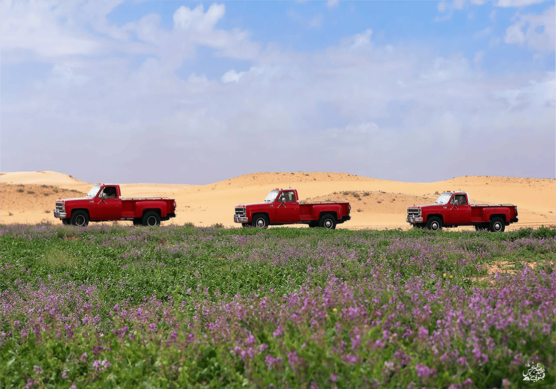 الصمان والجمس - صورة 2