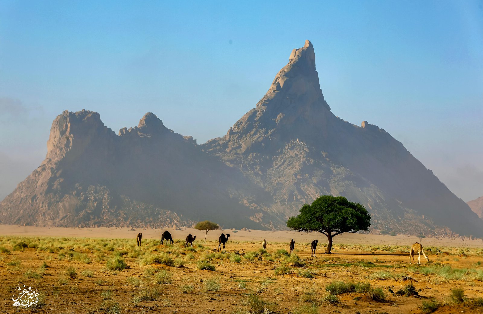 طخفه وابل (السعر حسب المقاس) - صورة 2