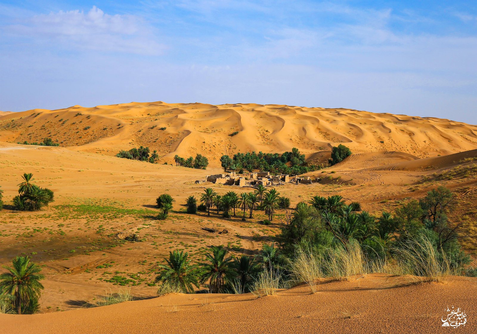 الم1نب واحات  - صورة 2