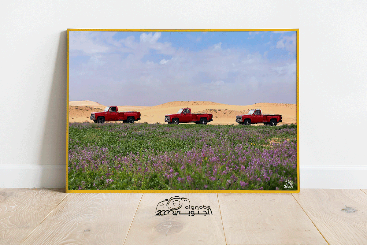 الصمان والجمس - صورة 3