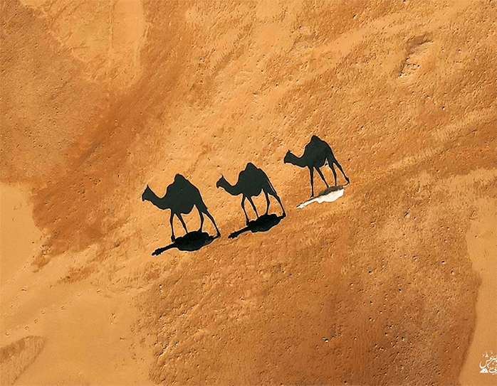 ظل الجمال - صورة 2