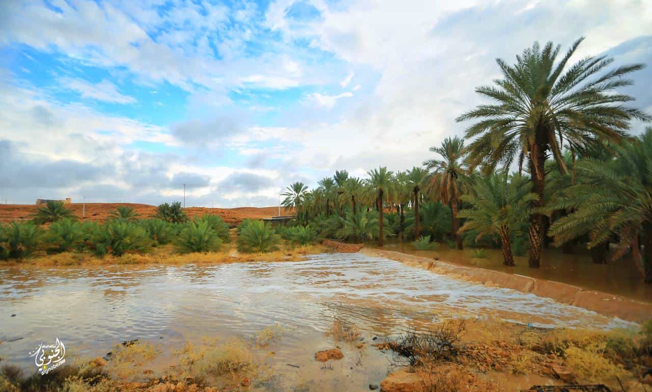 الوسيعه تمير (السعر حسب اختيارك للمتر) - صورة 2