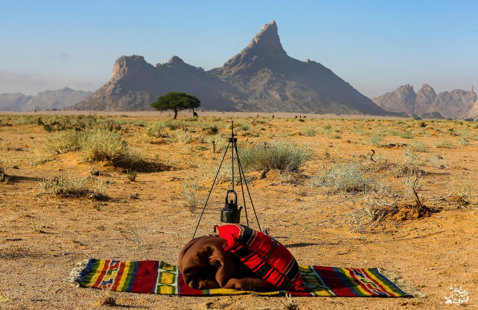 جلسه شاعرية - صورة 2