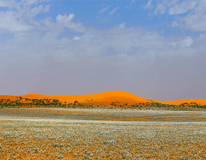نفود تربة - صورة 2