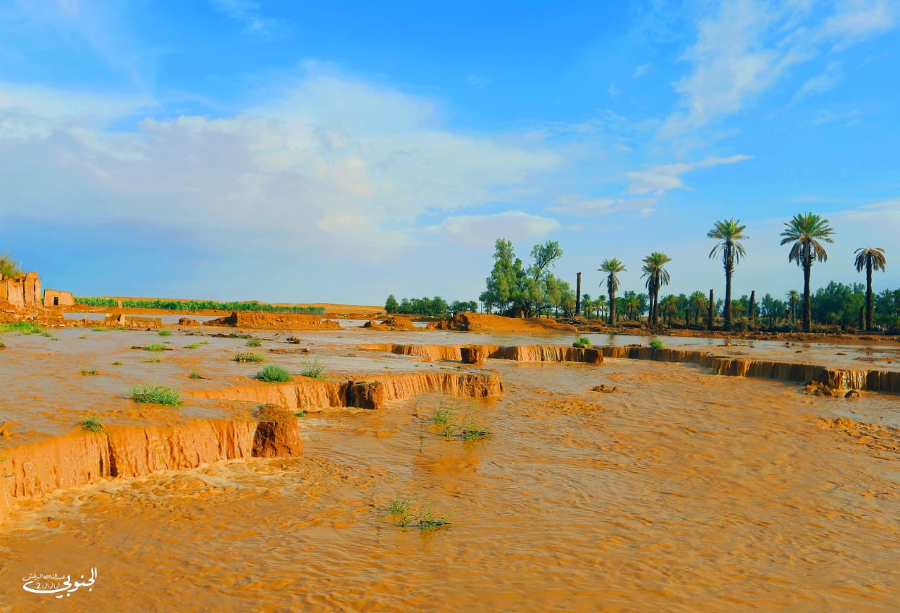 عشيرة سدير القديمه (السعر حسب اختيارك للمتر ) - صورة 2