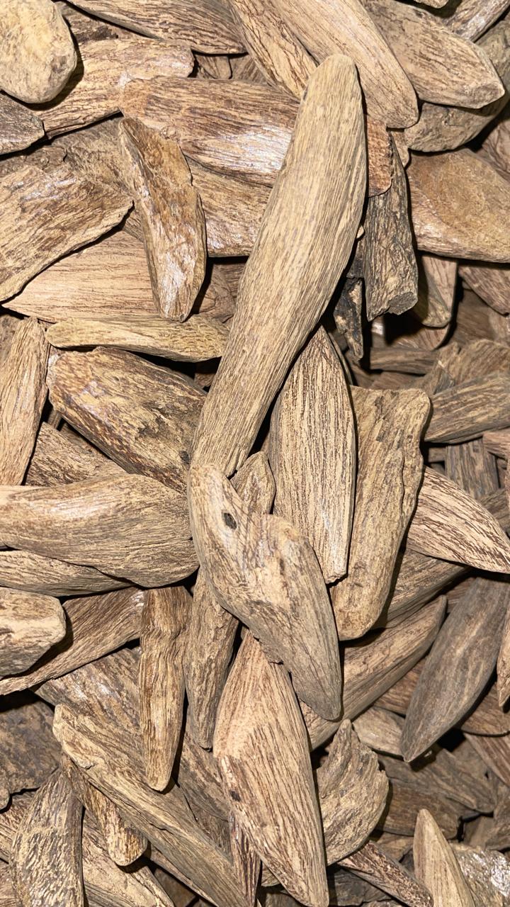عود مروكي طبيعي محسن ترابي فاخر - Image 1