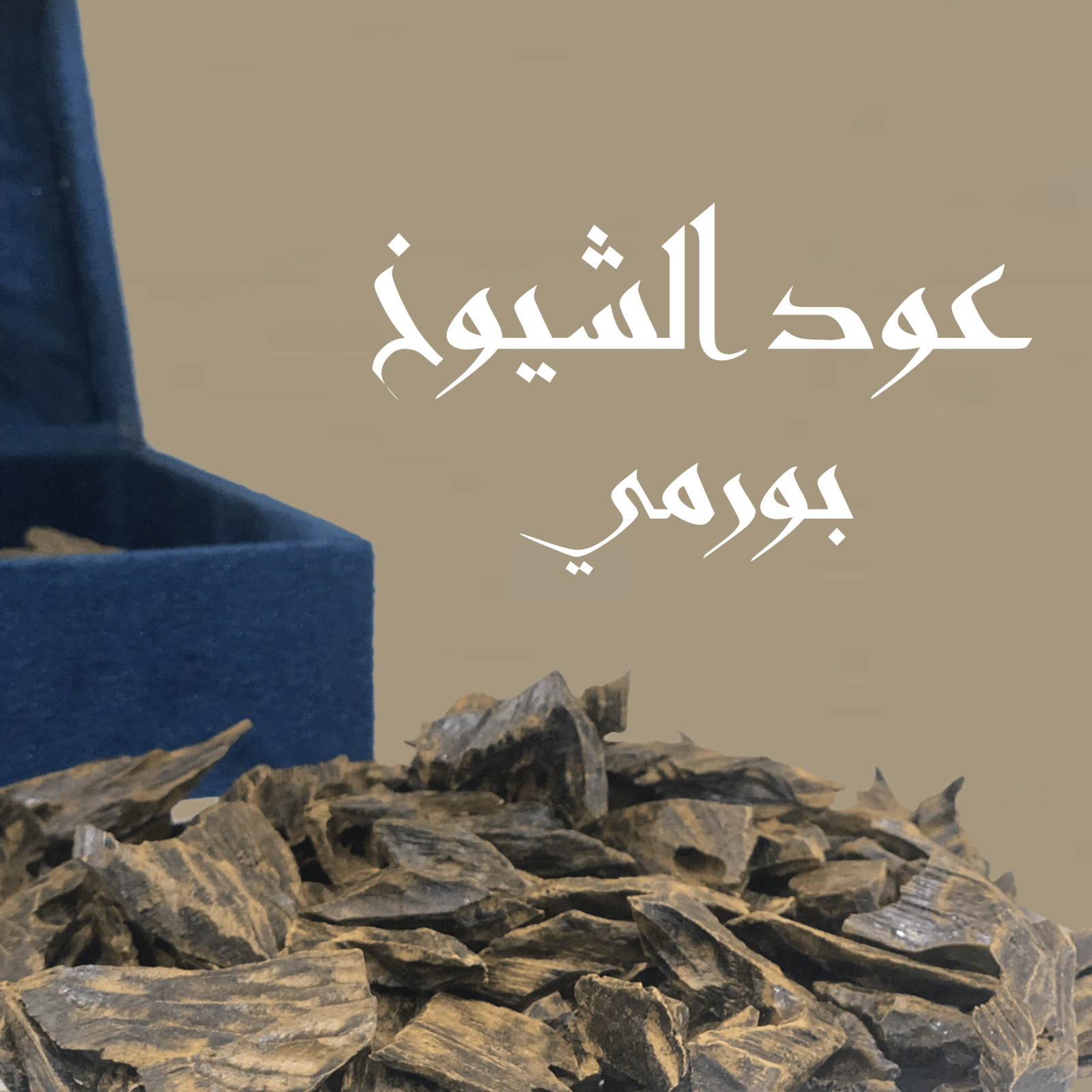 عود الشيوخ - Image 1