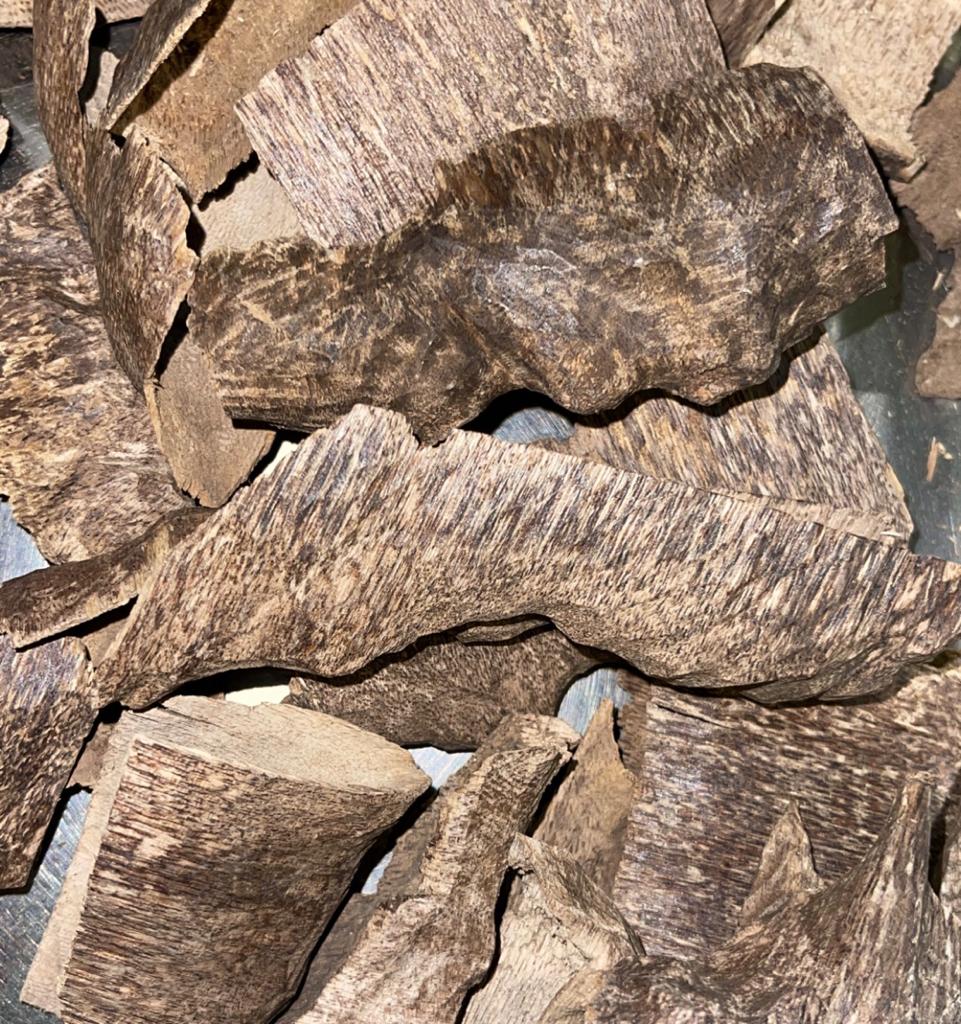 هندي مستزرع طبيعي - Image 1
