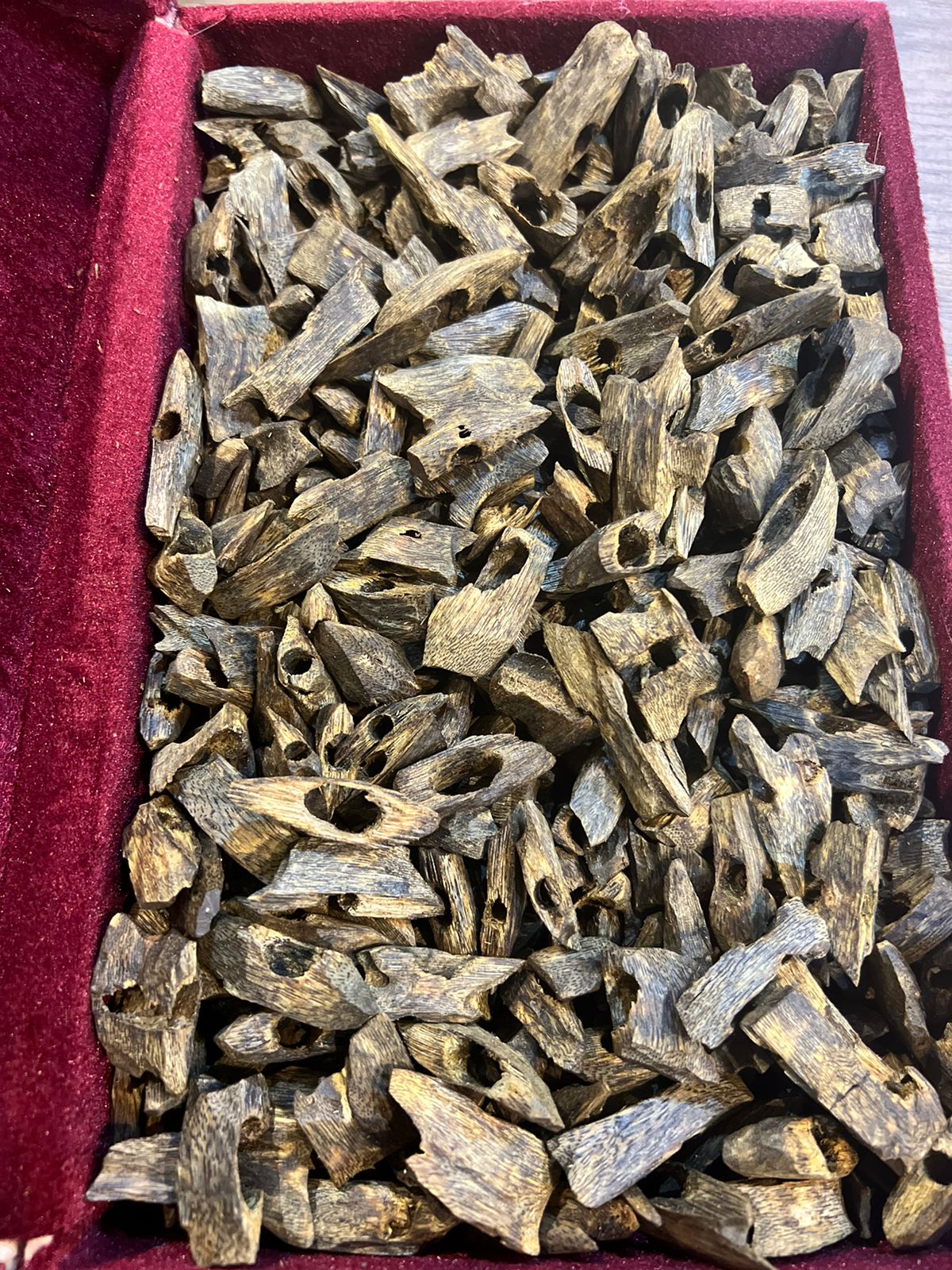 عود صيني مستزرع كينام - Image 1