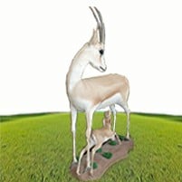 غزاله ريم عربي ملتفت - صورة 1