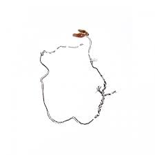 سبوق الطير - Image 4