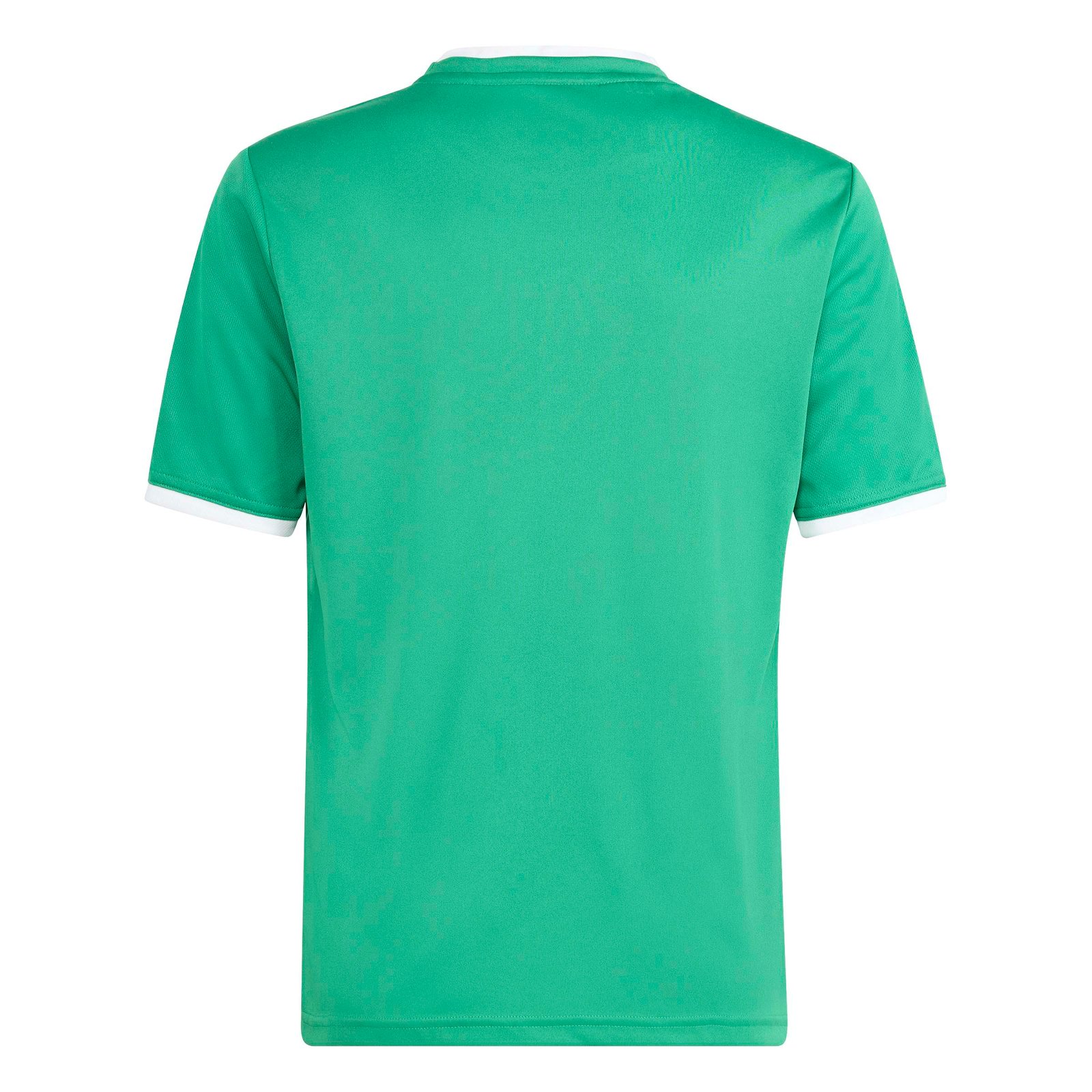 Adidas Entrada 26 Graphic Jersey Kids - Image 5