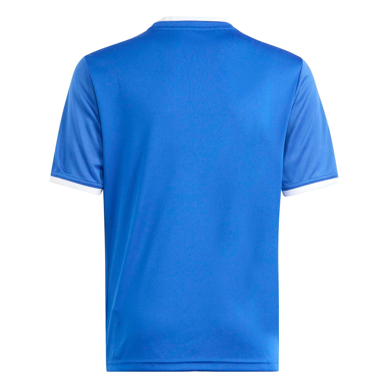 Adidas Entrada 26 Graphic Jersey Kids - Image 4