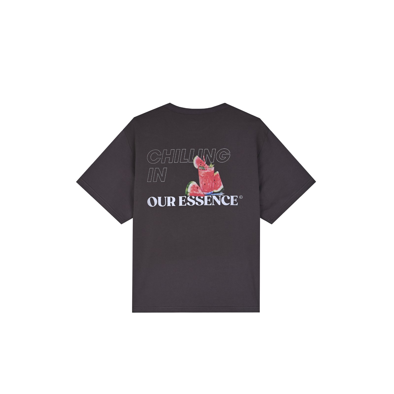 Dark Gery T-shirts, Chilling in Our Essence  - صورة 1