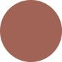 Technosatin Gel Lipstick - # 405 Playback 3.3g/0.11oz by Shiseido - Image 4