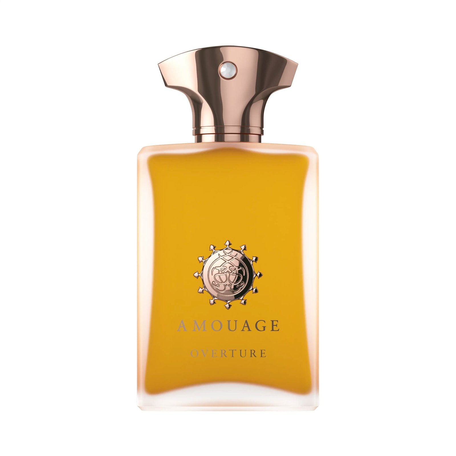 **عطر أوفرتشر مان أو دو بارفان، 100 مل** - صورة 1