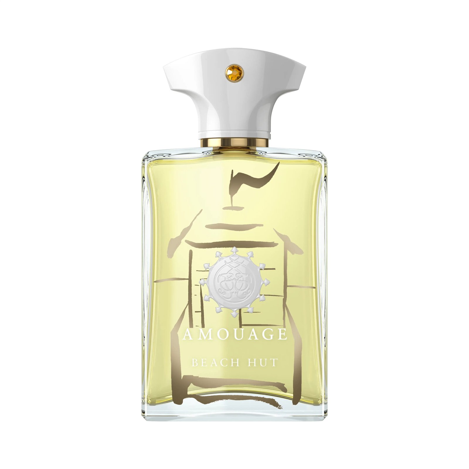 عطر بيتش هت للرجال أو دو بارفان - 100 مل - صورة 1