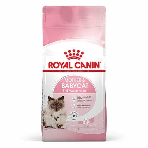 Royal Canin Dry Food for Kitten and Nursing Mothers - Image 1
